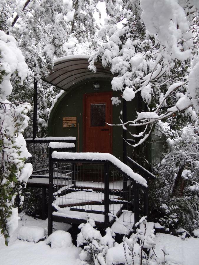 Huincaterra Hotel Villarrica Exterior photo